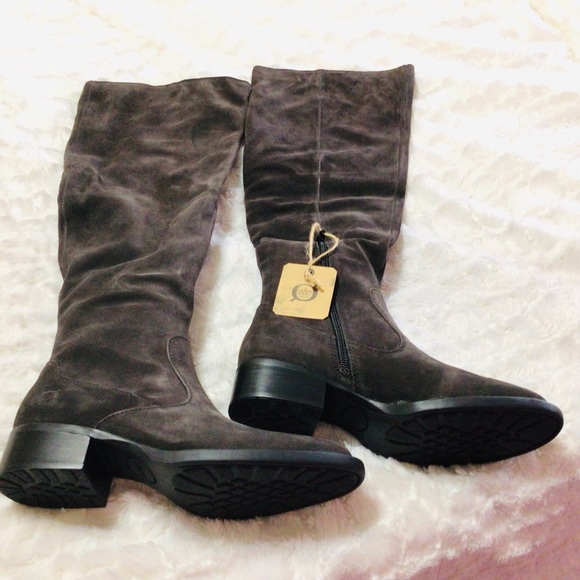Born Shoes - NEW Born Gray Cricket Suede Over-The-Knee Boots 6